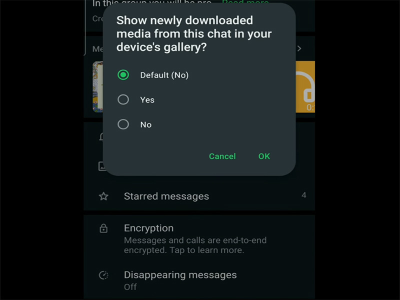 MB WhatsApp Media Visibility Settings Guide 2026