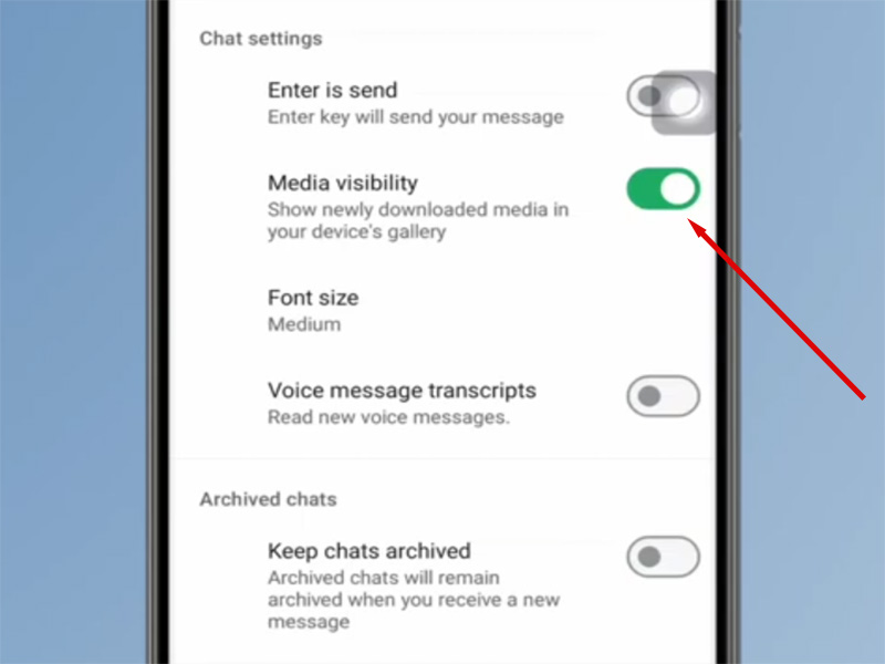 MB WhatsApp Media Visibility Settings Guide 2026