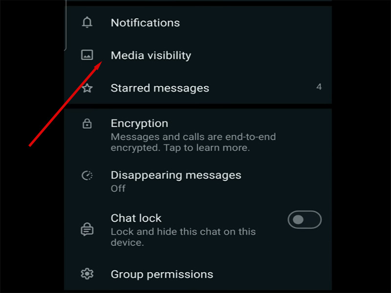 MB WhatsApp Media Visibility Settings Guide 2026